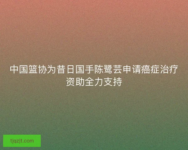 中国篮协为昔日国手陈鹭芸申请癌症治疗资助全力支持