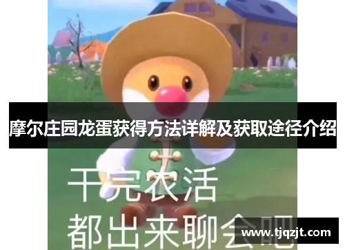 摩尔庄园龙蛋获得方法详解及获取途径介绍